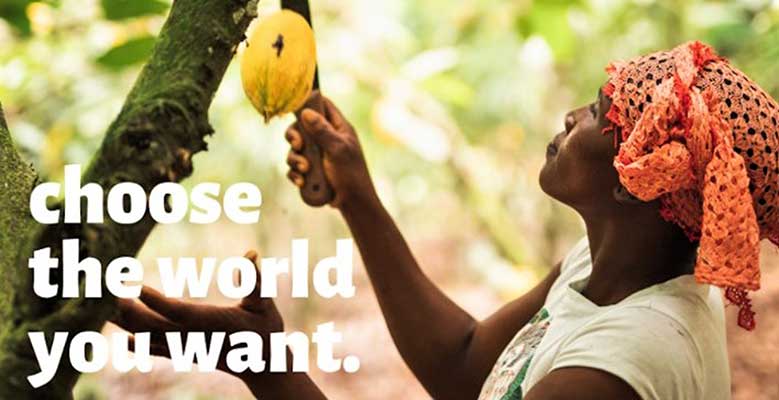 Woman cutting down fruit