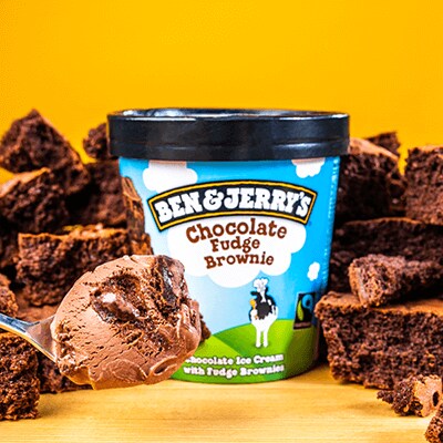 Pint of Chocolate Fudge Brownie