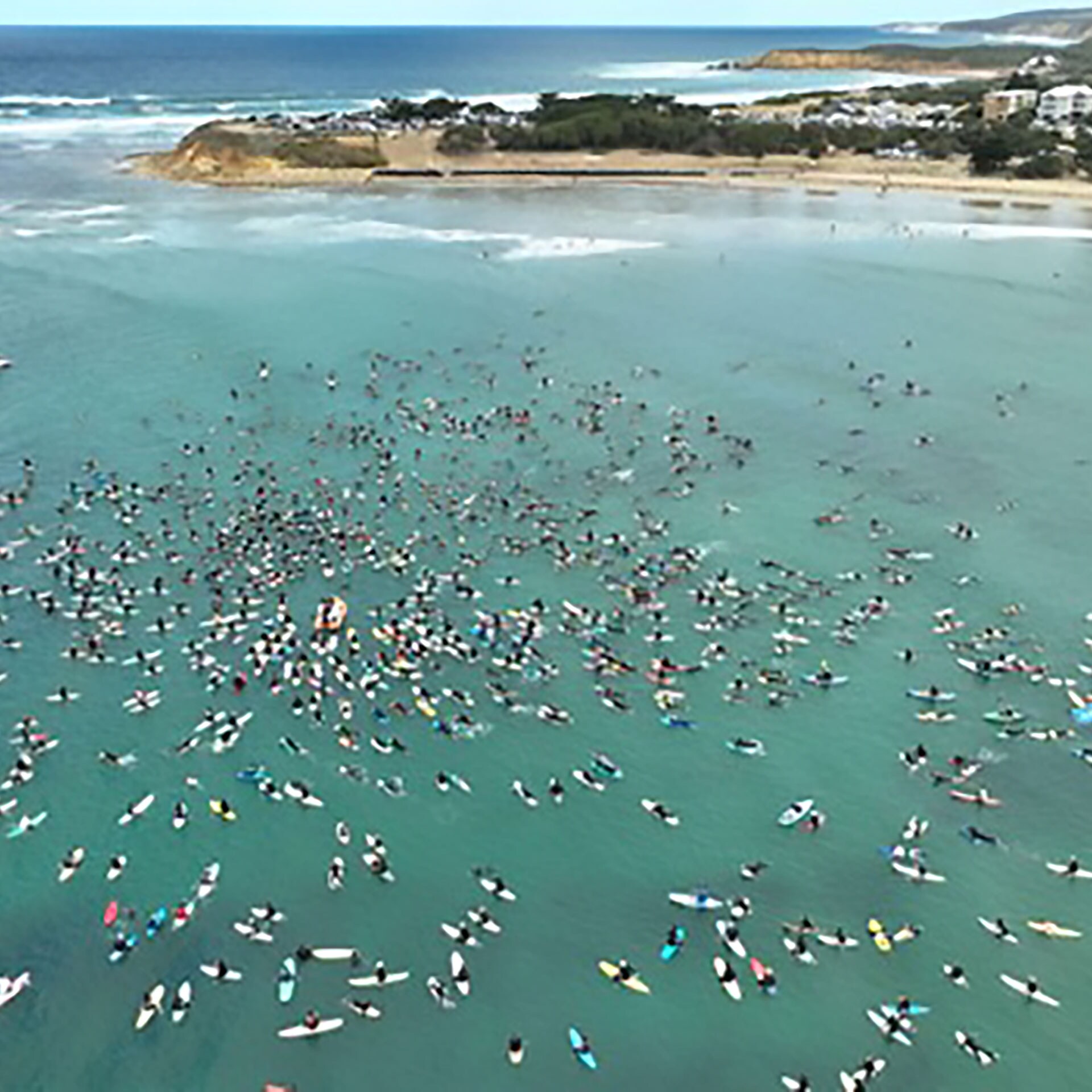 An aerial view of many people on surfboards on the water all in a centralized group