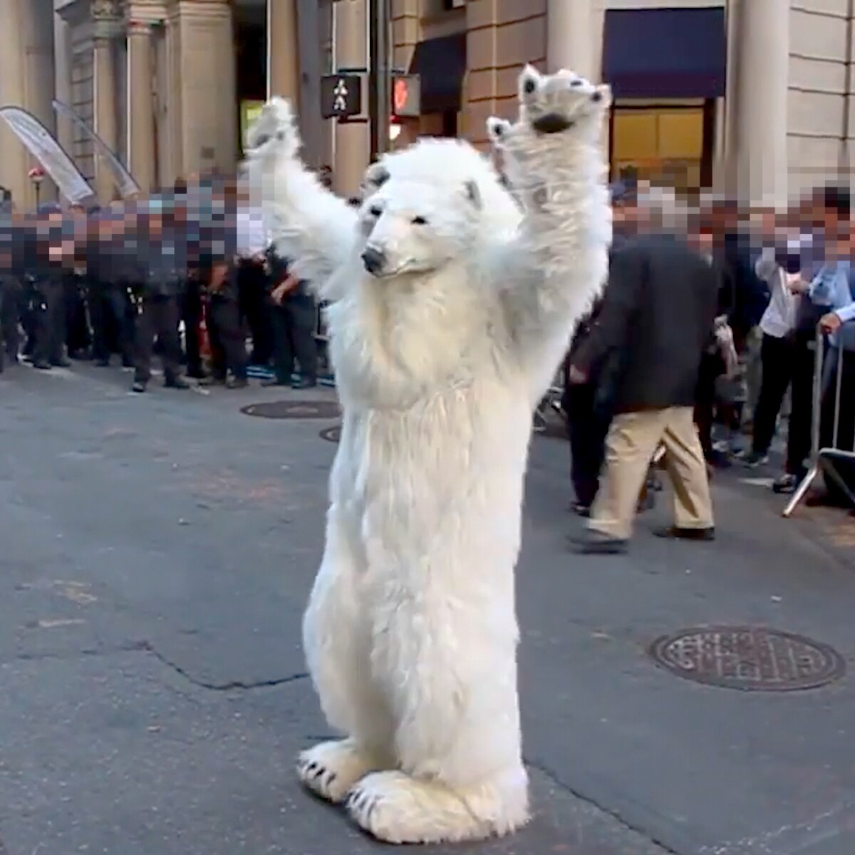 Frostpaw the polar bear