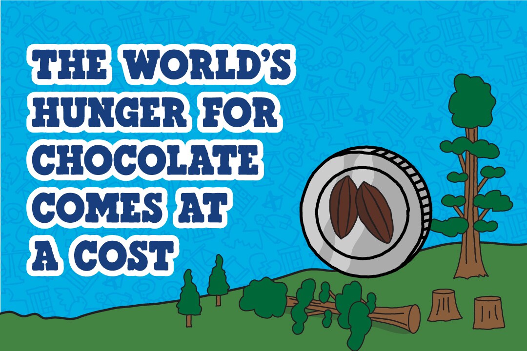 The world's hunger for chocolate comes at a cost.