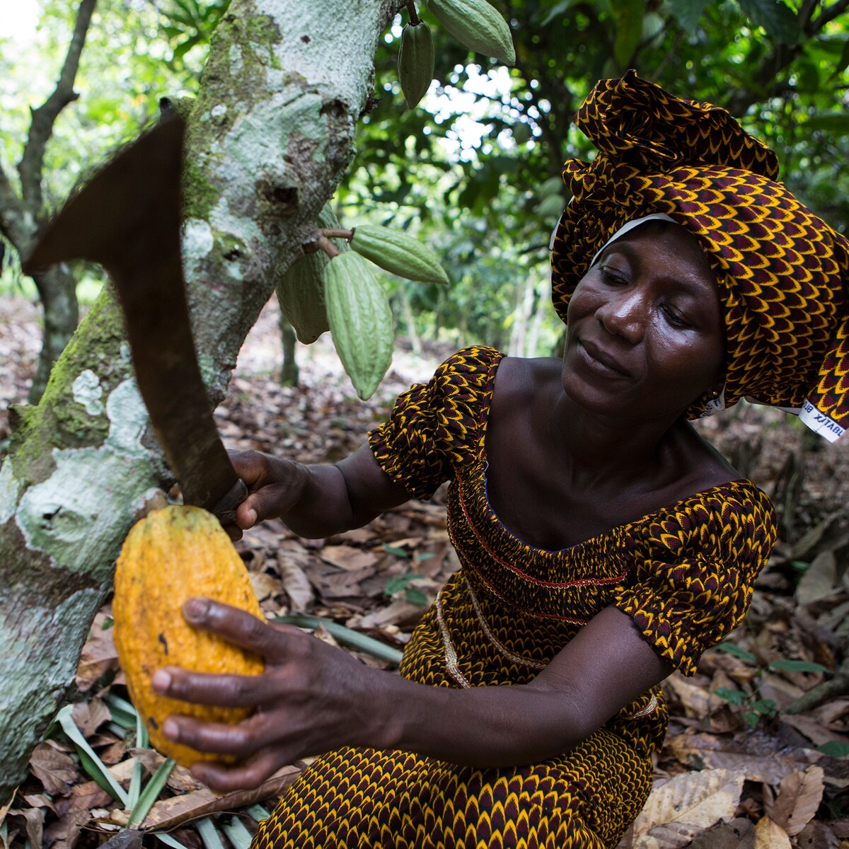 Celebrating a Sweet Anniversary: 10 Years of Partnering with Fairtrade Cocoa Farmers
