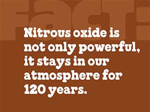 Nitrous Oxide Facts - Ben & Jerry's