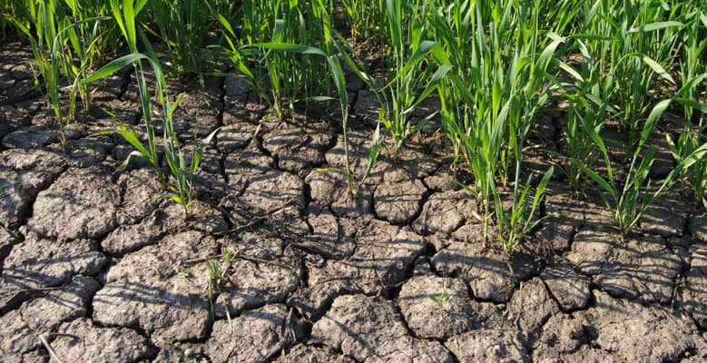 United Nations Green Climate Fund