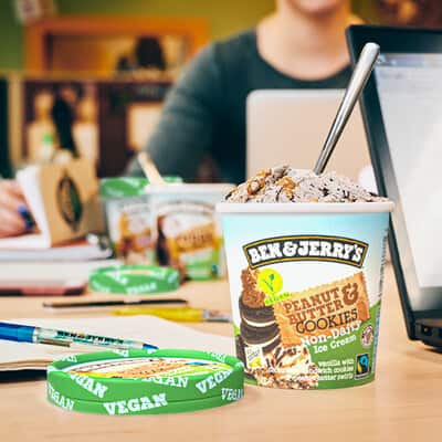 Pint of Non-Dairy Peanut Butter & Cookies